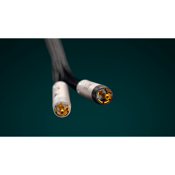 Ansuz Acoustic P2 RCA Digital Cable Online now