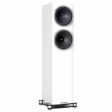 Fyne Audio F502SP Floorstanders Cheap