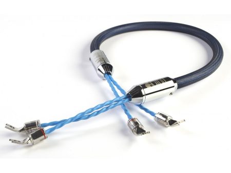 Siltech Classic Anniversary 330i Silver Speaker Cable Online